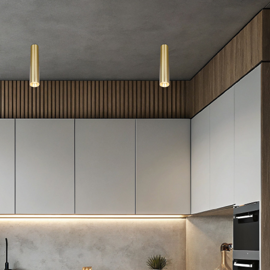 Downlight Damsgard ML-3160-60-H30 zlatna