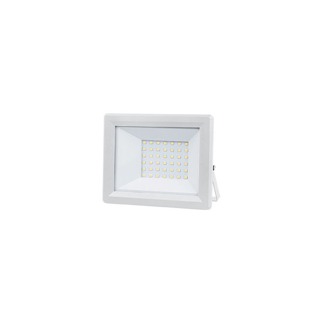 LED reflektor E-light 30W 6400K bijeli