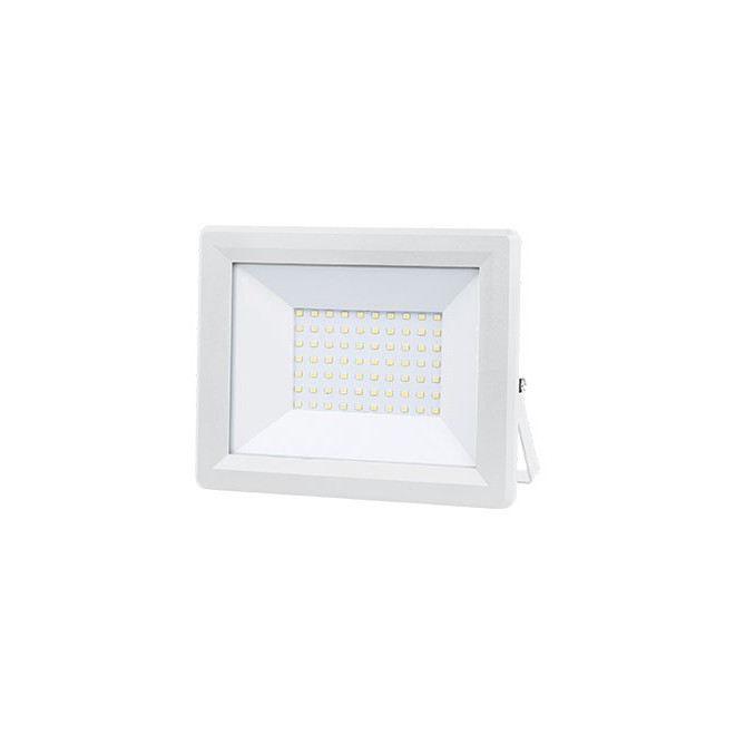 LED reflektor E-light 50W 6400K bijeli