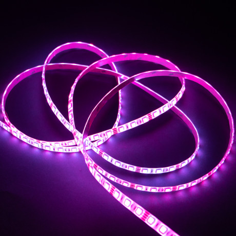 LED traka E-light 2835-60 RGB IP20