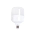 LED sijalica E-light T-30 30W E27 6400K